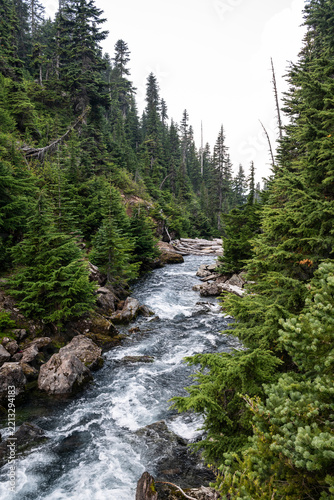 Fotografie Beautiful view to river near Garibaldi Lake in Squamish