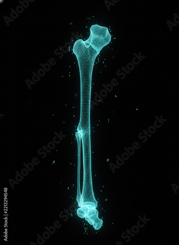 Digital wireframe of a human leg bone structure, glowing cyan skeletal anatomy on a dark background, medical science visualization