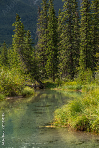 Beautiful view to river, green temperate forest and rocky mountains