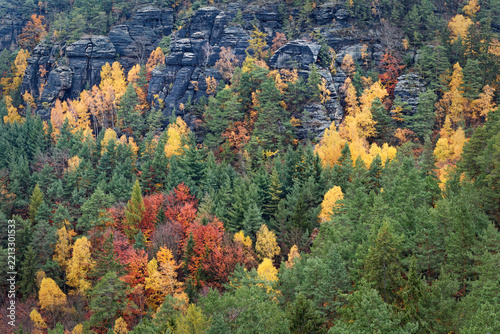 Sandstone rocks above the autumn colorful forest with yellow birches and green pines