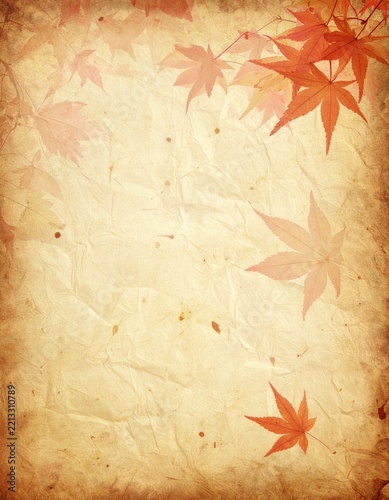 Old japanese confectionery paper with autumnal maple leaves as background. 