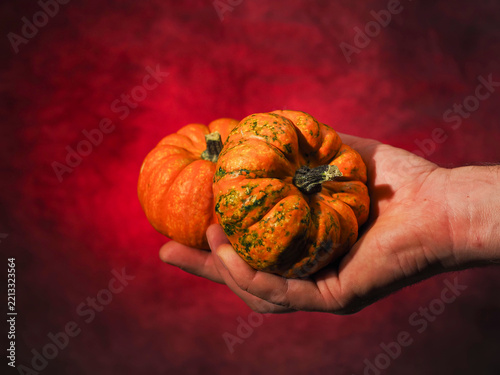 Hand holds two small pumpkins against rich red backdrop. One pumpkin has green speckles. Warm lighting highlights texture. Perfect for autumn, harvest, or Thanksgiving themes. Ideal for greeting cards