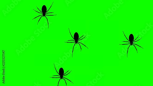 Animation with spiders walking on the green background (seamless loop)
