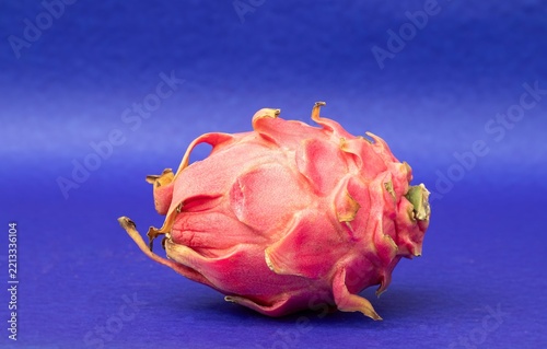 Closeup of Pitaya  or Dragon Fruit Isolated on Blue Background with Copy Space