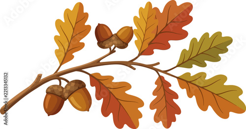 Watercolor illustration of an oak branch with autumn leaves and acorns.