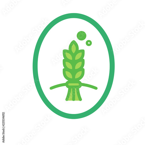 Green wheat stalk in oval icon