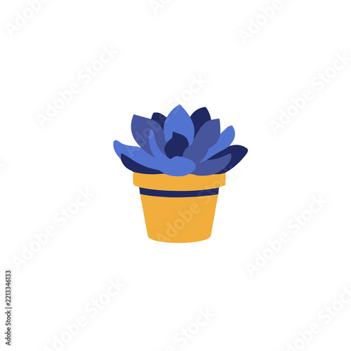 Potted blue succulent plant illustration