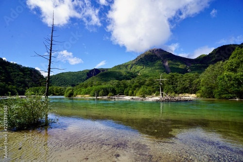 Scenic alpine pond with standing dead trees, crystal clear water, and mountain peak under blue sky in Kamikochi, Nagano, Japan