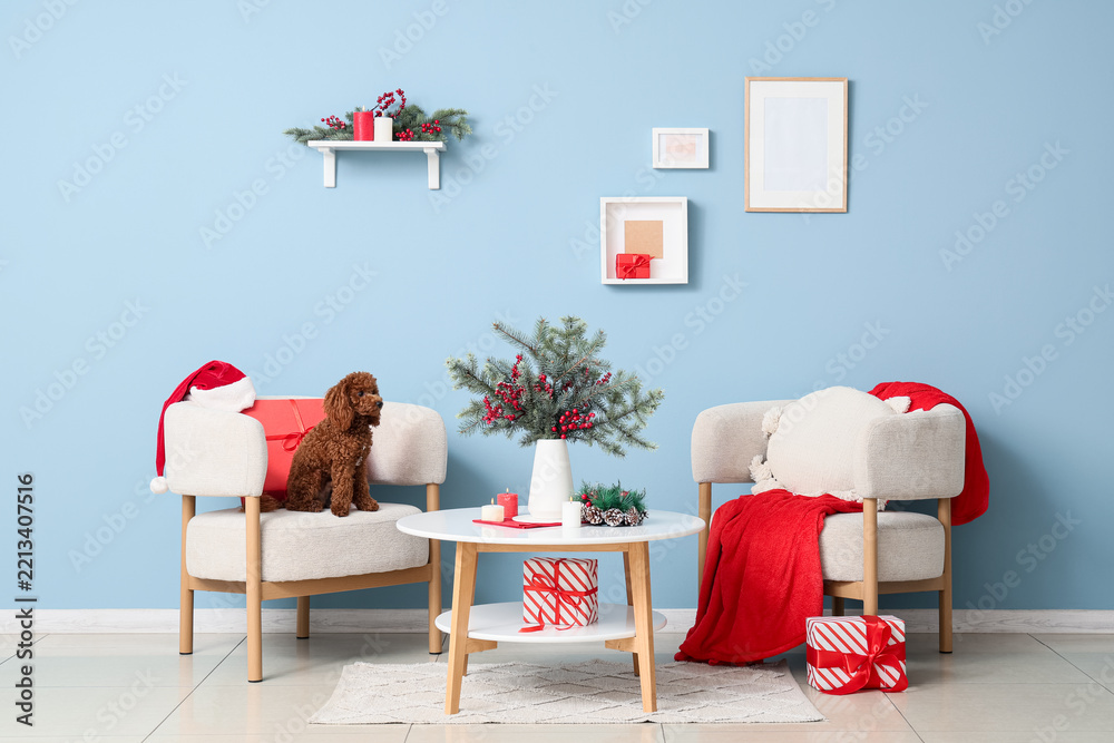 Obraz premium Christmas home interior, cute poodle dog sitting on armchair with holiday gifts and festive decorations in a cozy living room with blue wall background