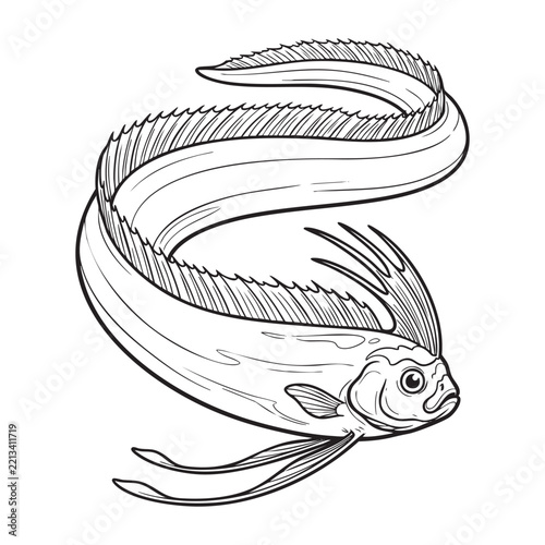Oarfish black and white line art illustration