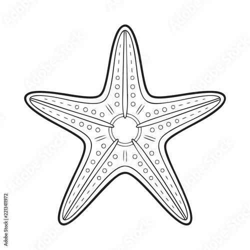 Starfish black and white line art illustration