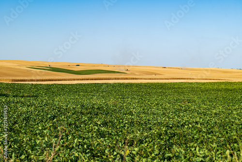 Fotografie Combine harvesters are working in a field, gathering crops during the harvest se