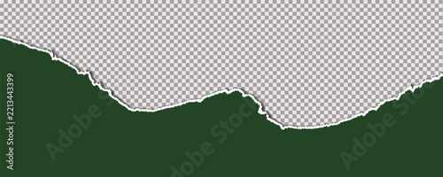 Dark green torn paper edge on transparent