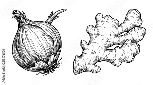  Hand Drawn Onion and Ginger Herbal Spice Sketch Vector Illustration