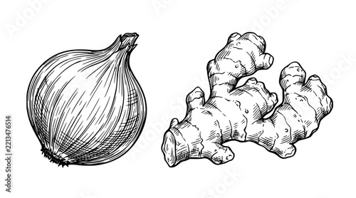 Hand Drawn Onion and Ginger Herbal Spice Sketch Vector Illustration