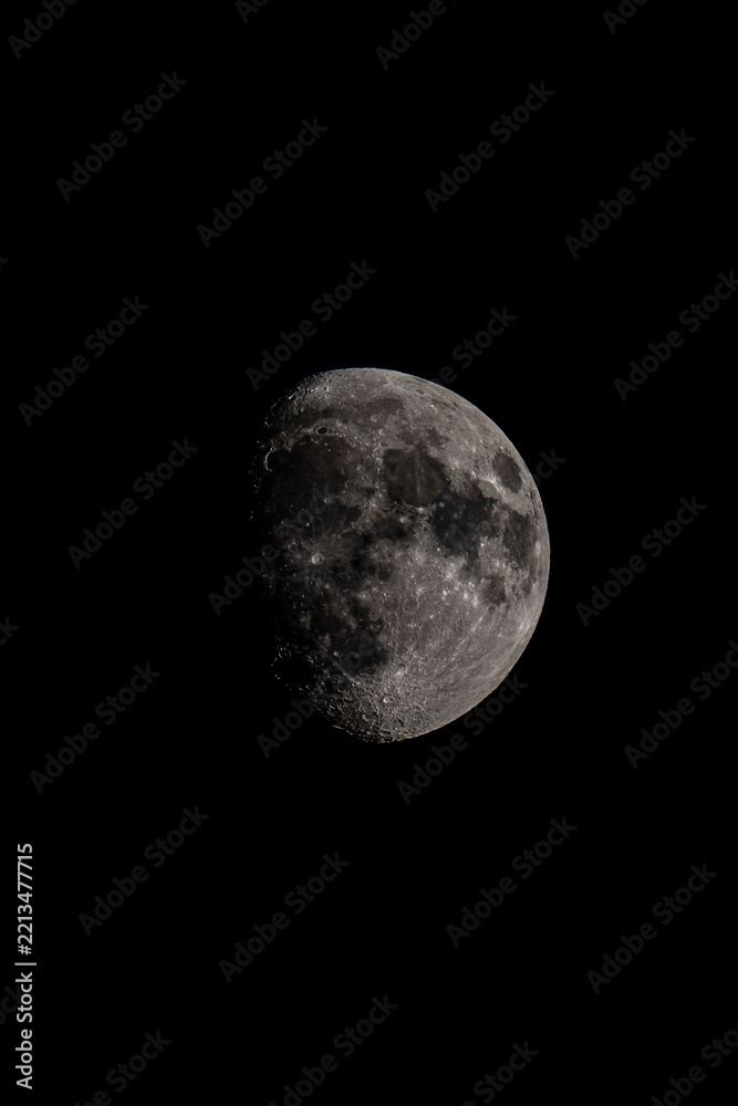 Fototapeta premium Moon with visible craters in black night sky vertical