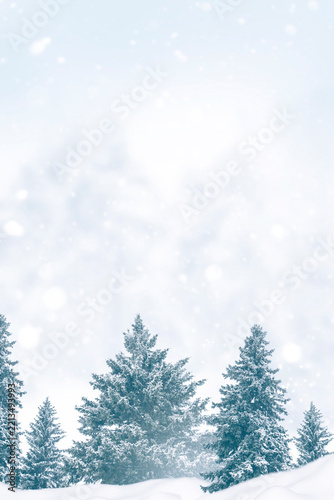 Vertical. Christmas Winter Landscape with Snow Covered Evergreen Forest