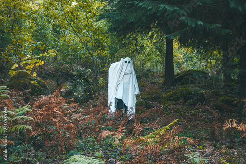 Fotografie A spooky sheet ghost wearing sunglasses standing among autumn ferns in a forest