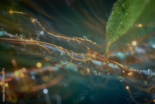 Intentionally Blurred Green Technology Concept with Plant, Network and Glowing Connections