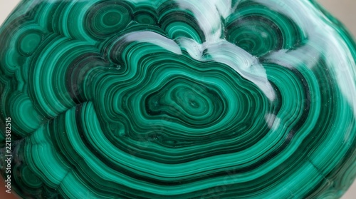 Polished malachite gemstone showing vivid green concentric band patterns