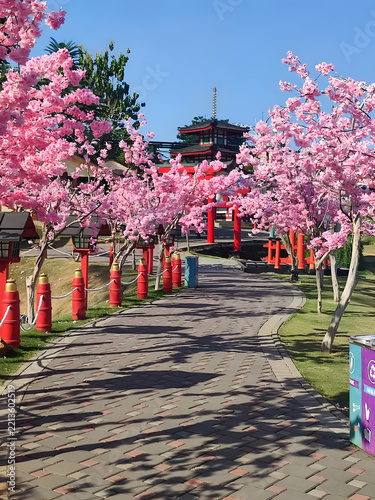 Scenic paved pathway lined with vibrant artificial pink cherry blossom trees, red torii gate elements, and traditional Japanese architecture under a clear blue sky.