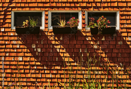 rustic wooden shingle wall in a warm reddish-orange tone featuring three white-trimmed windows with black hanging window boxes.