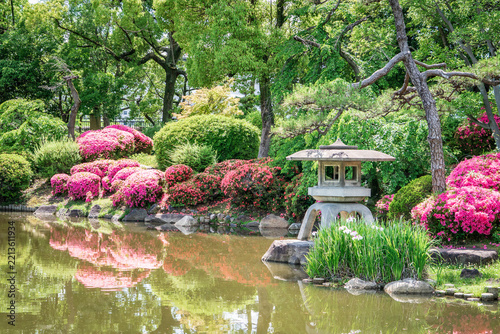 Hermoso jardín japonés tradicional durante la temporada de floración y honemantación clásica