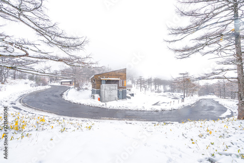 Curving Road Through a Snowy Forest