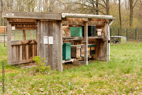 Multiple beehives standing next to each other in the netherlands