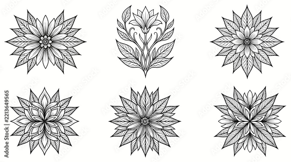 Obraz premium Intricate geometric flower mandala designs
