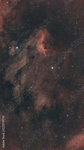 Nébuleuse de l'Amérique du Nord NGC 7000 et champ stellaire