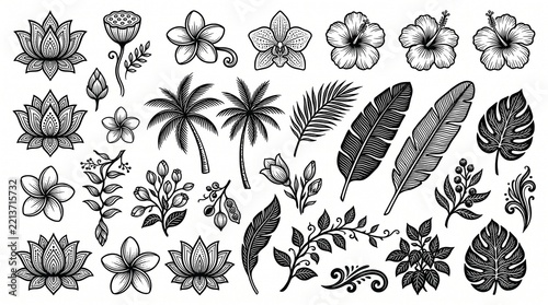  Sri Lankan Tropical Botanical Pattern  