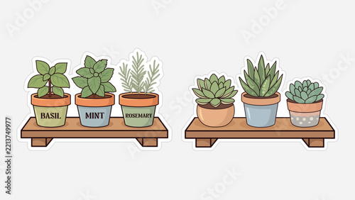 Cute Vector Stickers Set of Potted Culinary Herbs (Basil, Mint, Rosemary) and Succulents on Wooden Shelves