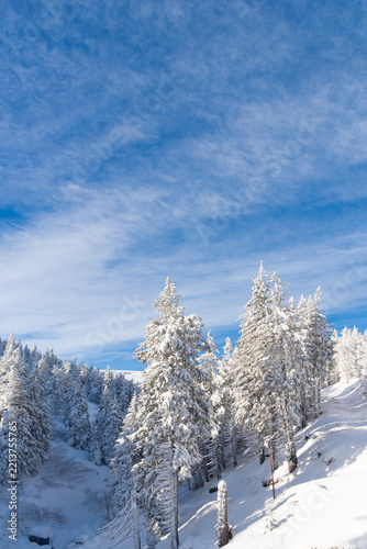 Snowy mountain resort landscape with fir trees under a vivid blue sky, perfect winter vacation and tourism background for ski holidays, travel advertising, outdoor recreation and seasonal campaigns