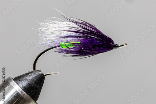 Green butt purple hilton fly on a tying vice ready to take fishing for steelhead