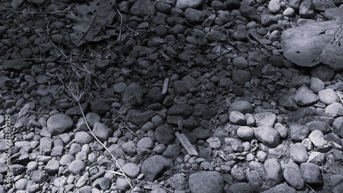 Monochrome natural texture of a rocky riverbed with varied stones, scattered leaves, grass fragments, and earthy forest debris.