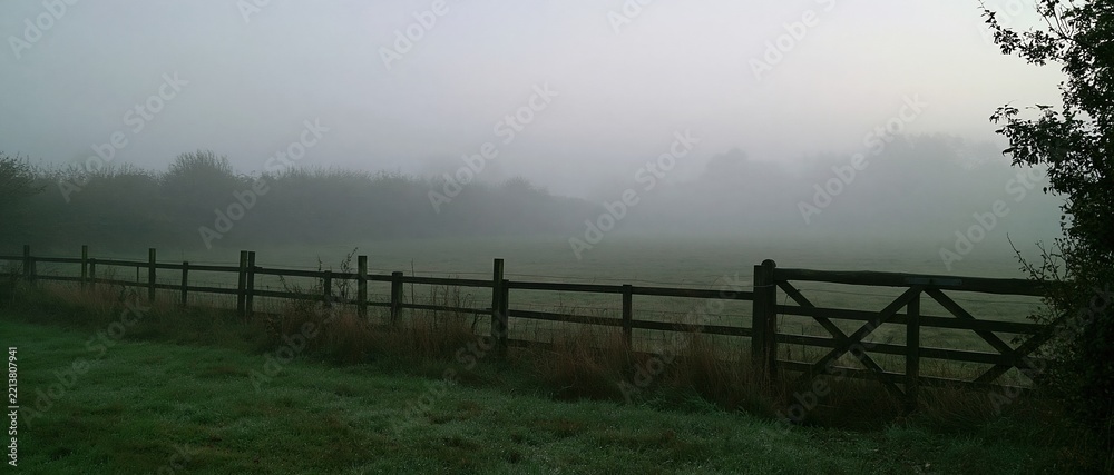 Naklejka premium Autumn fog covering a grey field with a damp timber fence line and a dim hedge, a muted atmospheric background for compositing and copy space