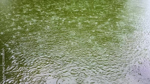 Rain Ripples and Green Reflection Across a Pond Surface