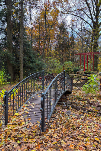 Vibrant autumn colors fill the Botanical Garden of NUBiP of Ukraine, creating a peaceful and picturesque atmosphere for an afternoon walk.
