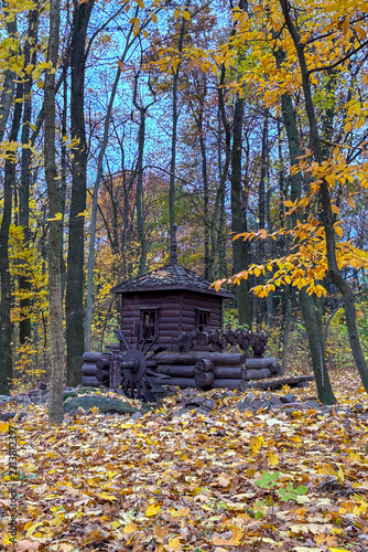 Vibrant autumn colors fill the Botanical Garden of NUBiP of Ukraine, creating a peaceful and picturesque atmosphere for an afternoon walk.
