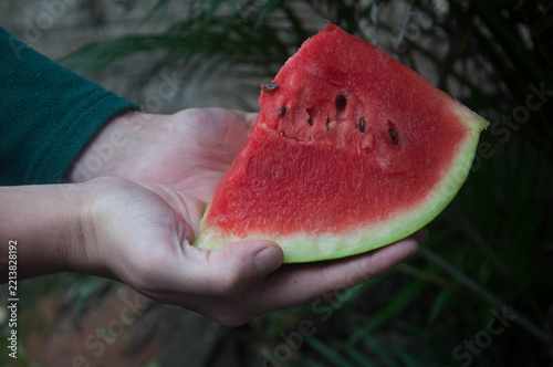 Delicious slice of watermelon in hand with a blurred background.