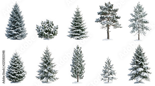 Snow covered pine trees set, isolated on transparent background