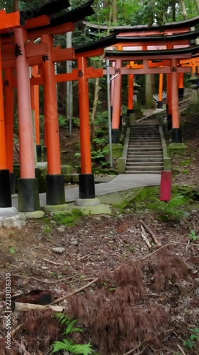 Vertical view through torii gates at Kyoto shrine