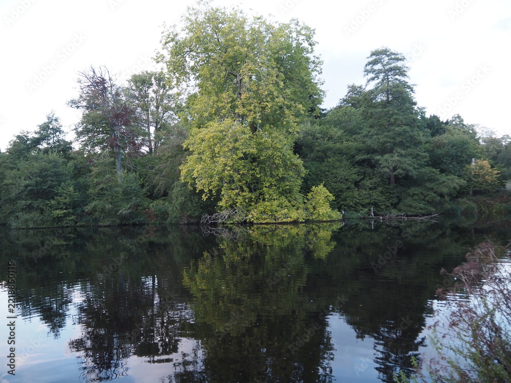 Fototapeta premium Reflections on the water