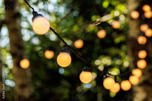Warm glowing string lights hanging in a tree at evening