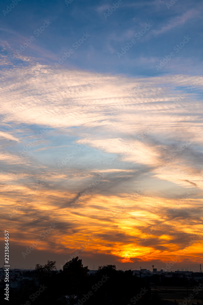 Fototapeta premium 夕日に染まる雲