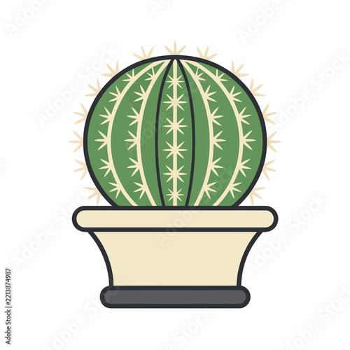 Green spherical cactus in a pot