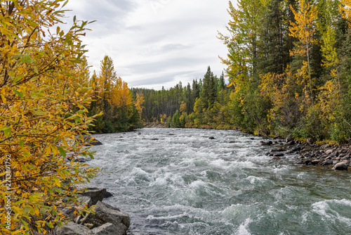 Rushing river with rapids in forest with yellow fall colors
