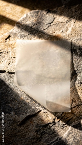 blank translucent vellum paper sheet resting slightly elevated over a textured stone surface, soft golden hour sunlight casting geometric window frame shadows across the sheet, editorial aesthetic