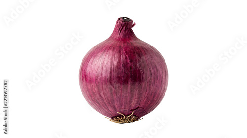 Obraz na plátně Fresh whole red onion bulb with textured purple skin on transparent background